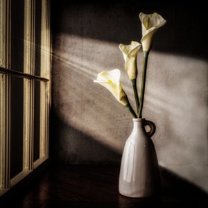 Lampada da finestra "Calla Lilies" da Rob Ryan