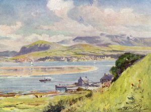 Carnarvon, da Anglesey da Robert (after) Fowler