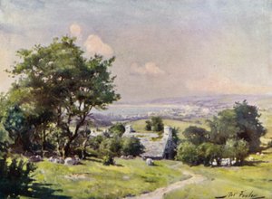 Vista distante della Baia di Carnarvon da Robert (after) Fowler