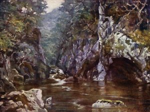 Fairy Glen, Bettws-y-Coed da Robert (after) Fowler