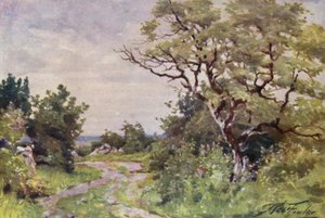 Sentiero di Campo, vicino a Llanrug da Robert (after) Fowler