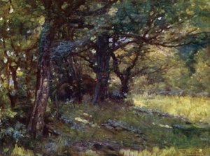 Nel bosco, Berwyn