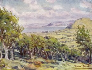 Vicino a Colwyn Bay da Robert (after) Fowler