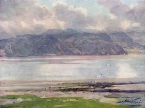 Vicino allo stretto di Menai (litografia colorata)