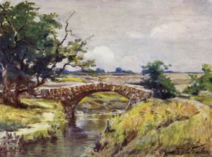 Vecchio ponte romano, vicino a Swansea