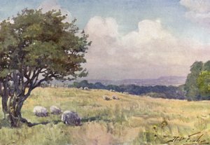 Campo soleggiato, vicino a Llanberis (litografia colorata) da Robert (after) Fowler