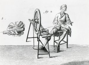 Economia rustica, cotone, da Enciclopedia di Denis Diderot (dettaglio) da Robert Benard