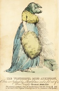 La Signora con la Faccia di Maiale, famosa a Londra circa 1815