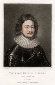 Federico V 1596-1632 il Re d