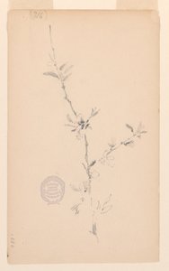 Ramo da Robert Frederick Blum