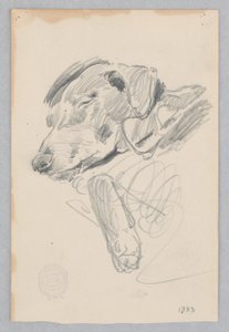 Cane da Robert Frederick Blum
