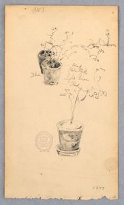 Disegno, Vasi di fiori, 1877 da Robert Frederick Blum