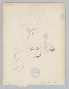 Anatre da Robert Frederick Blum