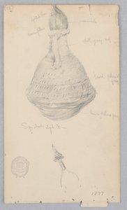 Vaso di terracotta