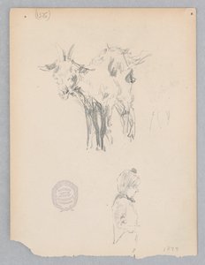 Capra da Robert Frederick Blum