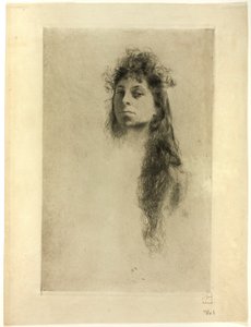 Testa di donna con capelli lunghi