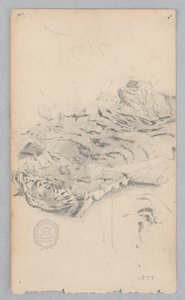 Tappeto di pelle di tigre da Robert Frederick Blum
