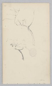 Albero da Robert Frederick Blum
