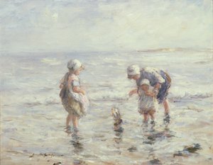 Navigando la barca