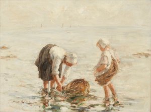 Pesca di gamberetti
