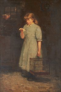 Il canarino morto