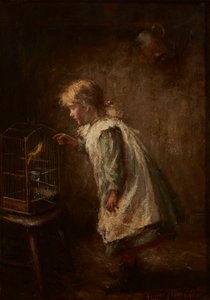 Il Canarino Domestico da Robert Gemmell Hutchison