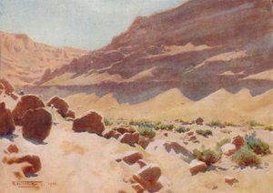Un Wady nelle colline di Mokattam, c1880, 1904