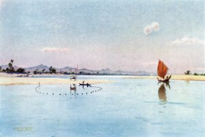 Pesca con la rete sull