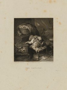 La zampa del gatto