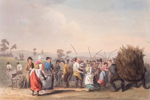Trebbiatura del Rape, 1 novembre 1813