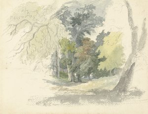 Una radura nel bosco