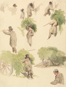 Trasporto di Luppolo e Altri Studi