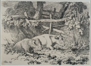 Bovini a riposo, 1807 da Robert Hills