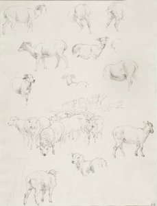 Gregge di pecore, dopo il 1794