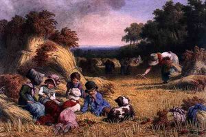Campo di Raccolto da Robert Hills