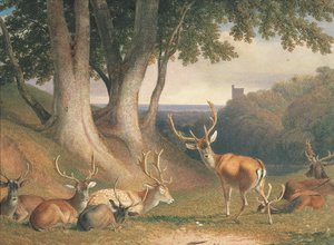 Paesaggio con cervi, c.1800 da Robert Hills