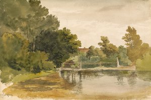 Riflessioni in una pozza boschiva da Robert Hills