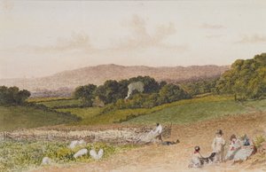 Il Campo di Rape