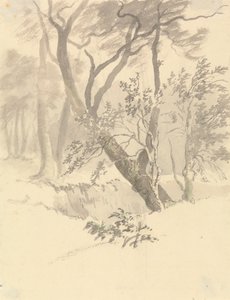 Il Bosco da Robert Hills