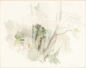 Alberi a Beddington da Robert Hills
