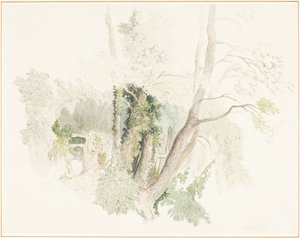  da Robert Hills