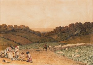 Campo di Rape da Robert Hills