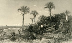 Sulla costa della Florida, 1872 da Robert Hinshelwood