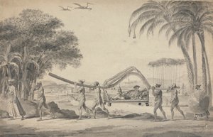 Viaggiatore in un Palanchino in India