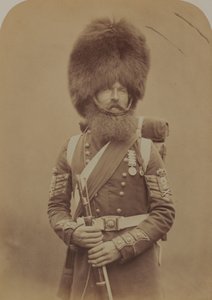 Sergente Maggiore Macgregor, Guardie dei Fucilieri Scozzesi da Robert Howlett
