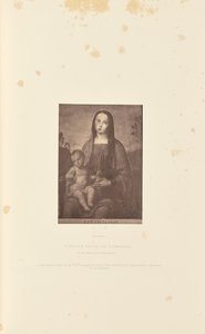 Vergine e Bambino, di F. Francia da Robert Howlett