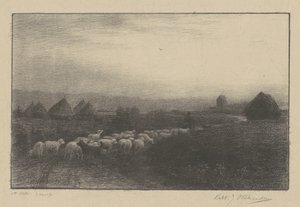 Il ritorno del gregge