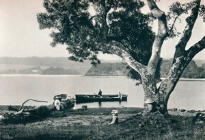 Isola della Chiesa, Lough Gill, Sligo, c1908 da Robert John Welch