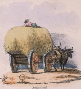 Agricolo