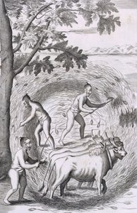 Il modo di pestare il riso, da An Historical Relation of the Island Ceylon, pub. 1681